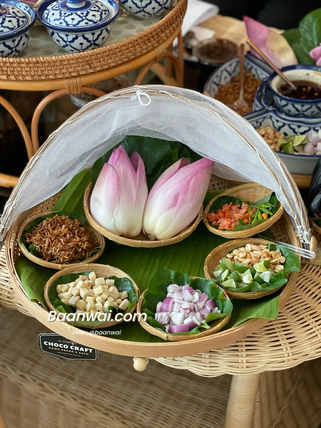 กระจาดหน้าขาว